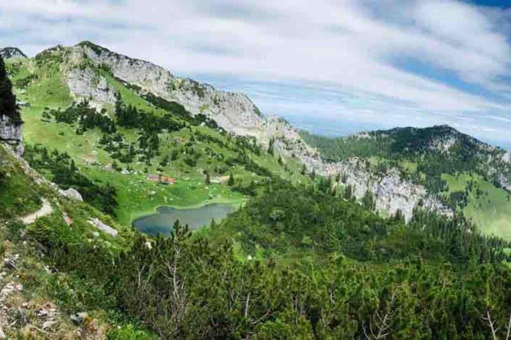 Topmodernes Studio - Sommer Im Bayerischen Inntal Brannenburg Esterno foto