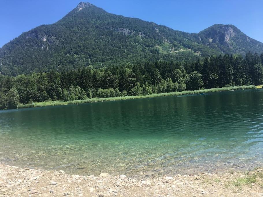 Topmodernes Studio - Sommer Im Bayerischen Inntal Brannenburg Esterno foto